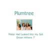 Plumtree : Green Mittens